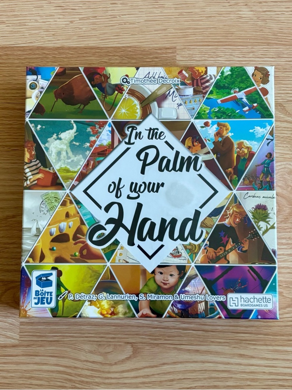 In the Palm of Your Hand Board Game